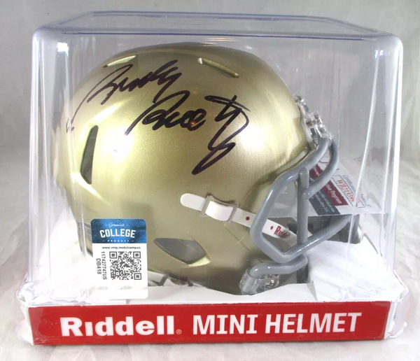 Rudy Ruettiger / Autographed Notre Dame Fighting Irish Speed Mini Helmet / JSA