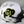 David Bakhtiari / Autographed Colorado Buffaloes Speed Mini Helmet / Beckett